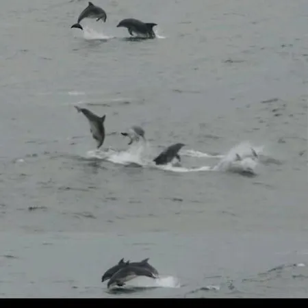 Ocean Valley View * 킬리벡스