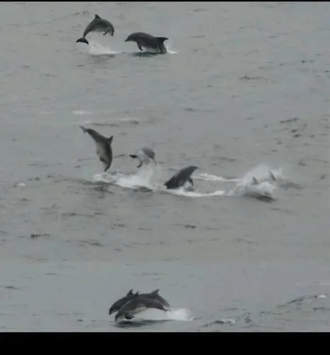 Ocean Valley View * Killybegs